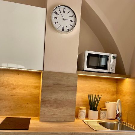 Apartman Dominikanska Litoměřice 外观 照片