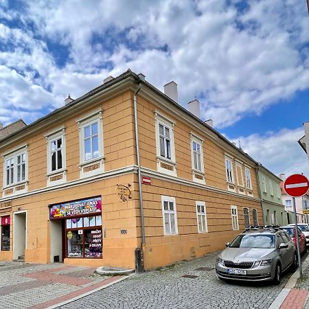 Apartman Dominikanska Litoměřice 外观 照片